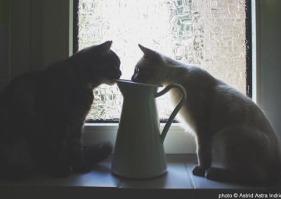 Puuuutz and Putzinski